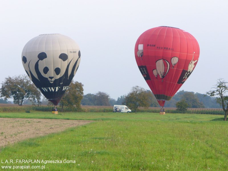 Balon Panda i nasz balon